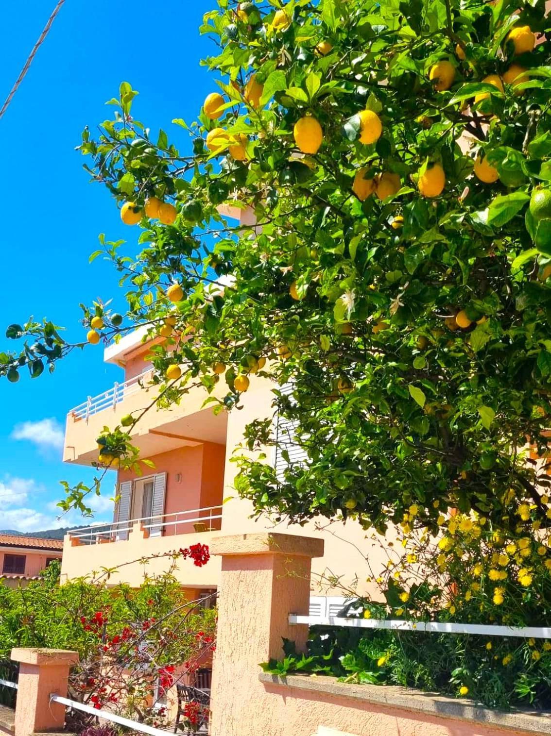 Casa Vacanze Mura Cala Gonone Εξωτερικό φωτογραφία
