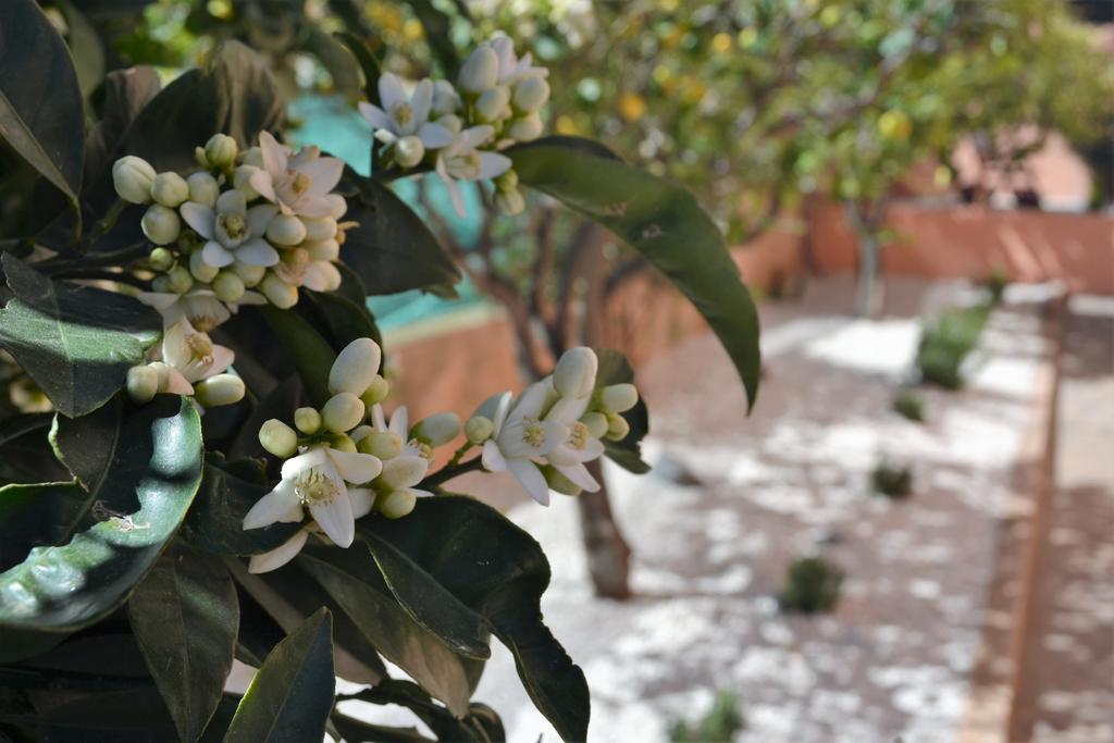Casa Vacanze Mura Cala Gonone Εξωτερικό φωτογραφία
